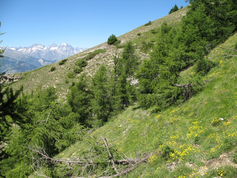 Le sentier n'est pas toujours facile à trouver