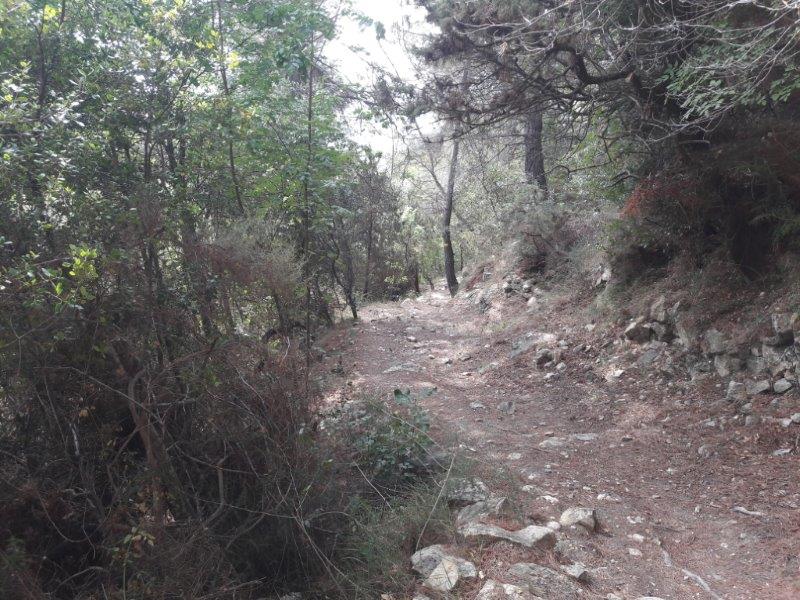 Sentier pas toujours propre. Mais ça roule.