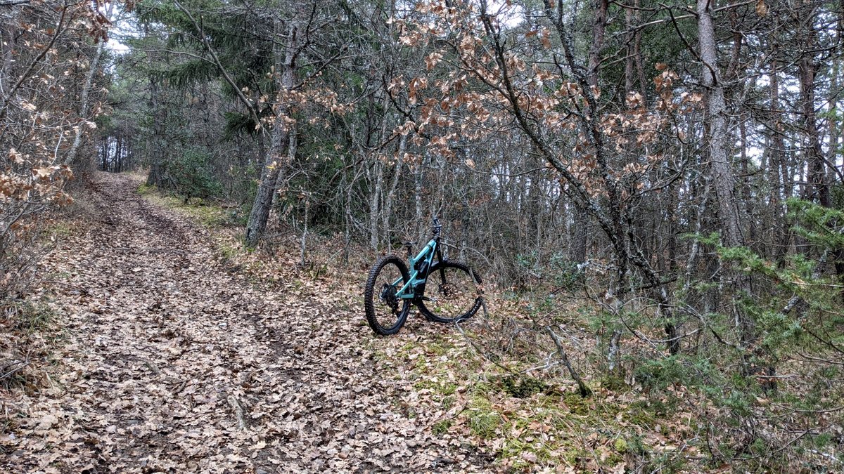 le sentier démarre à droite