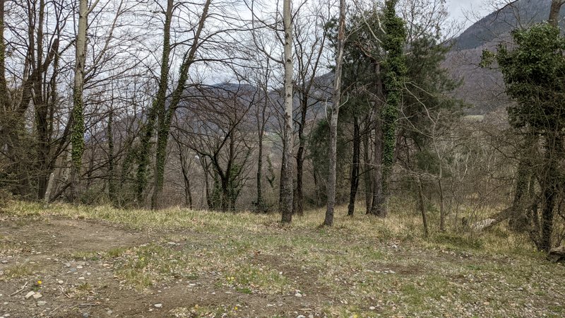 Le sentier continue entre ces 2 arbres