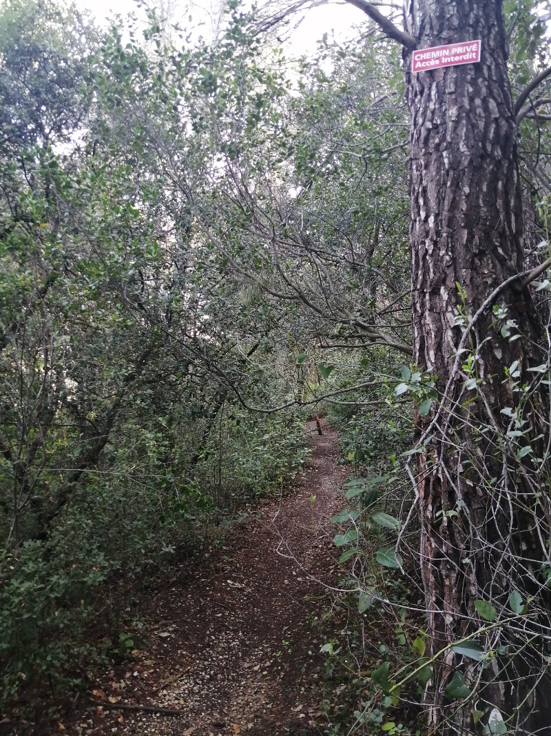 A mi-parcours, photo prise dans le sens montée