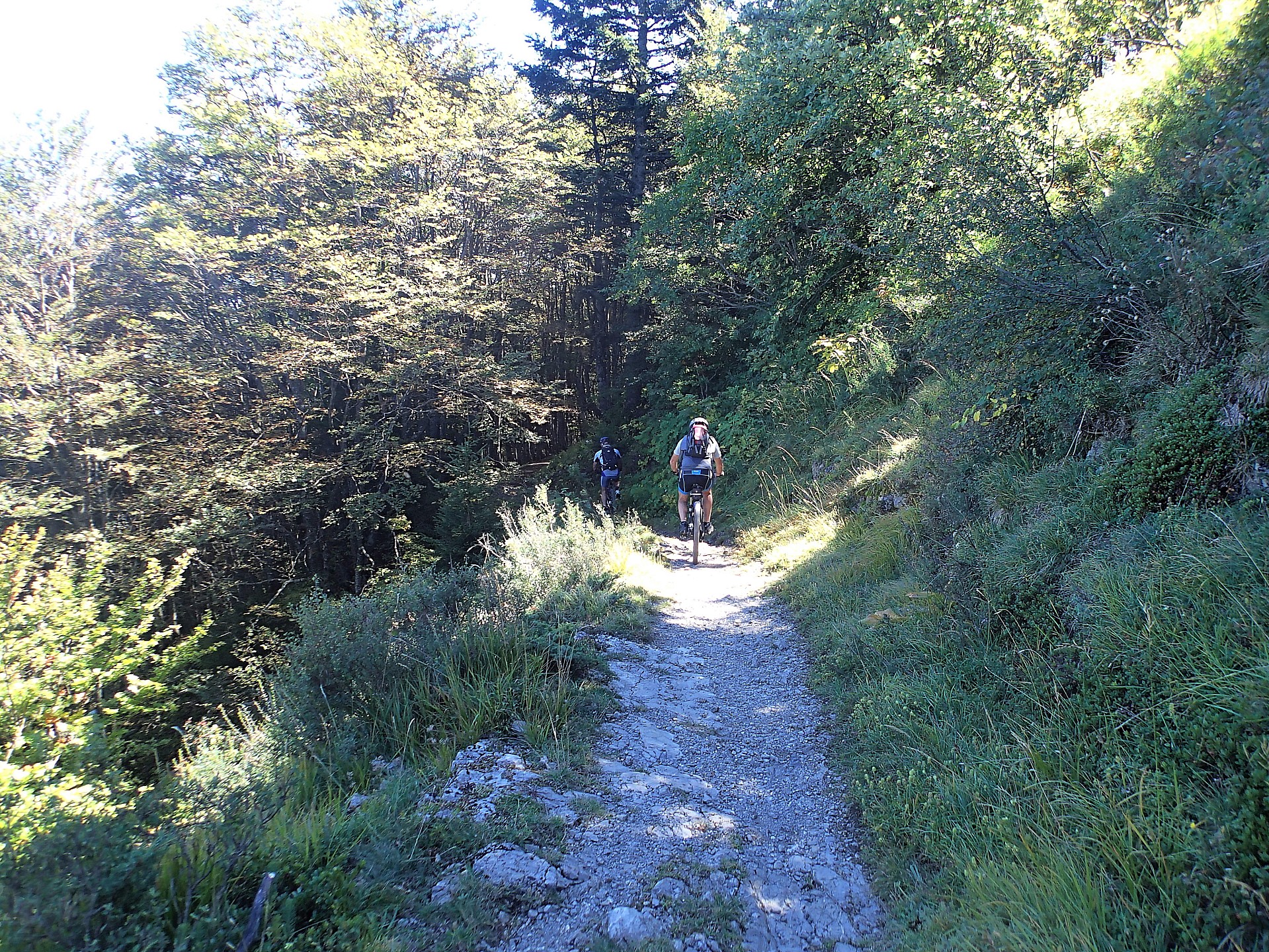 Début de la descente assez tranquille ...