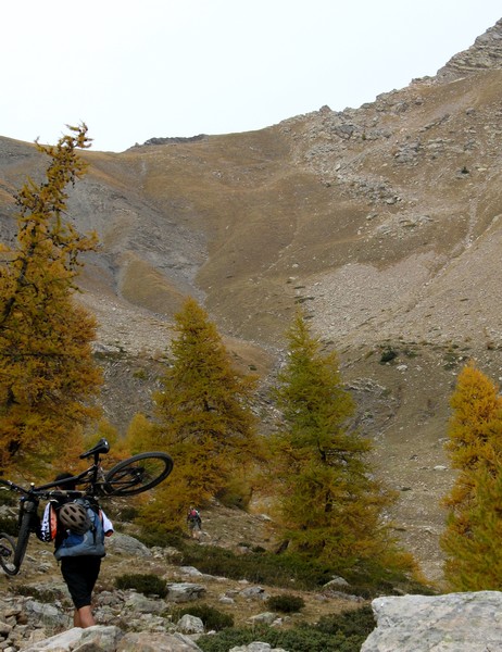 Col vu depuis le bas de la montée au Mont Guillaume.
A la prochaine épingle, possibilité de rejoindre le sentier du Col (100 m)