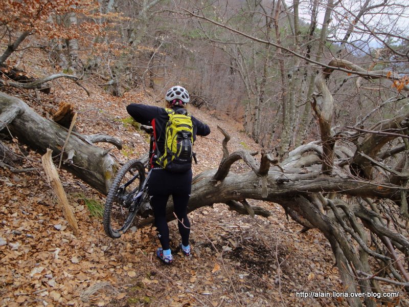 4 arbres sont encore en travers dans cette descente.