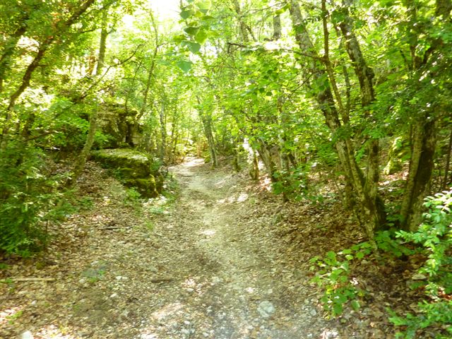 Combe de Canaud: vestiges de charbonnières