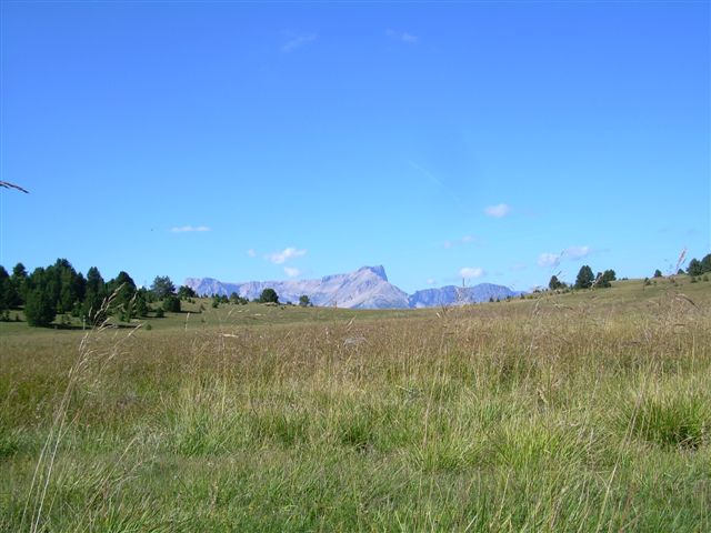 Steppes sur le plateau de Céüse