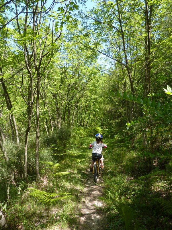Portion du sentier à plat