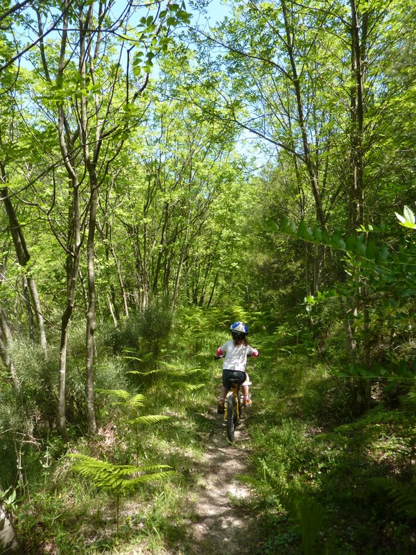 Portion du sentier à plat