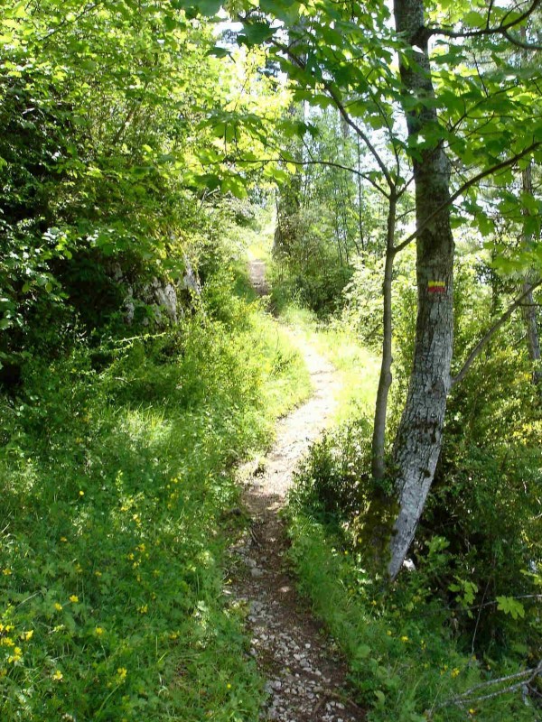 Joli sentier étroit sur le bas mais roulant