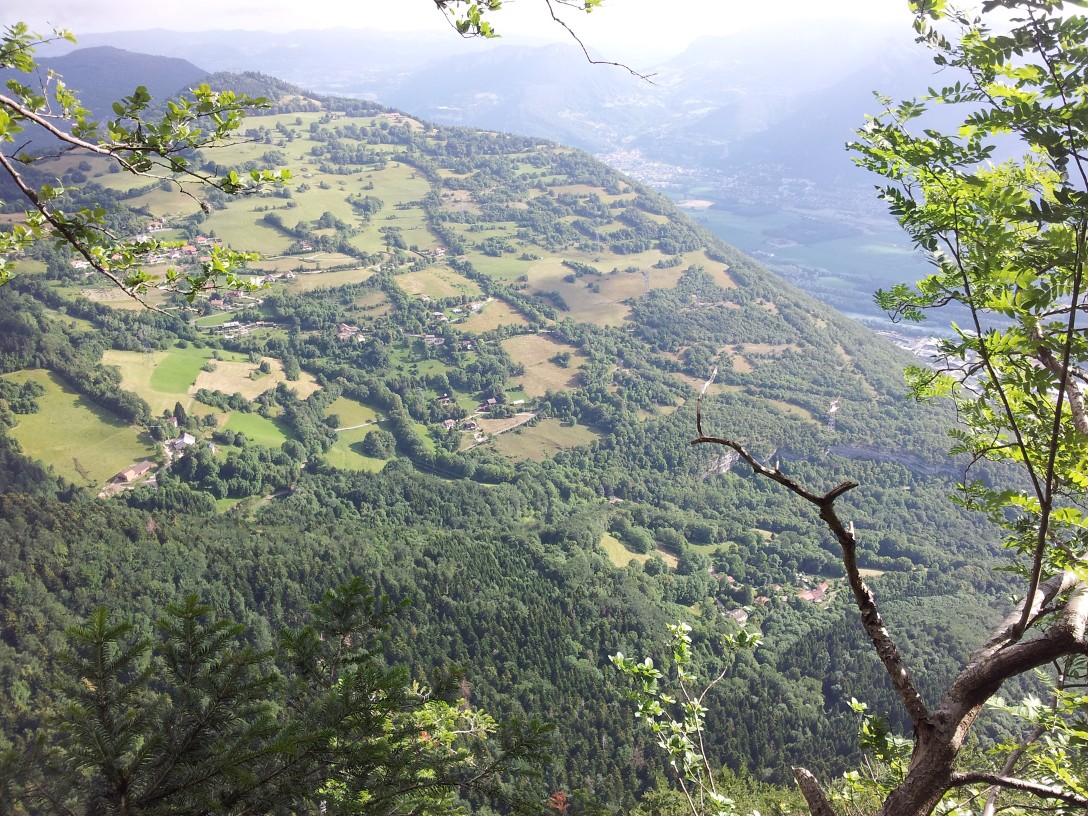 Une vue du sommet de la Cuche et de la pente de la Mandrive: la descente se situe sur les prés à la limite de la forêt, vers la crête; puis entre dans la forêt avant le dernier pylône. Photo prise depuis le Chemin des Boeufs.