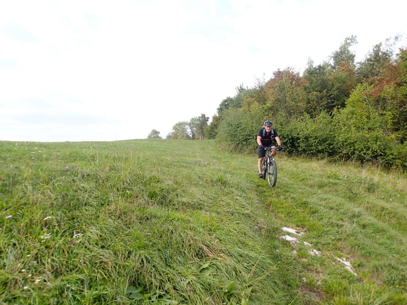 Dernier passage herbeux avant la forêt