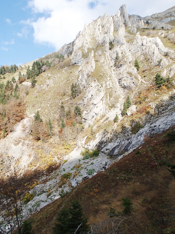 Entrée dans le thalweg du ruisseau de la Pisse