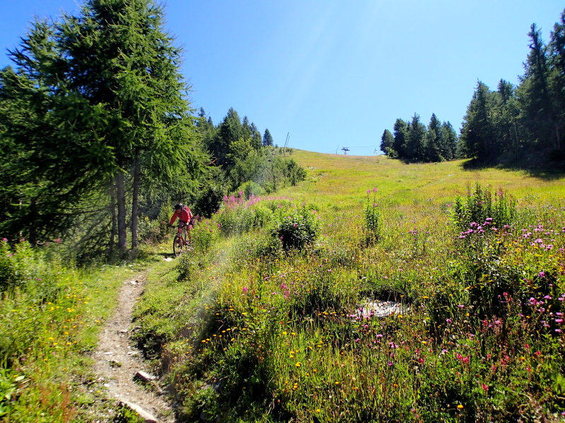 Le single suit la piste avec quelques passages joueurs en forêt.