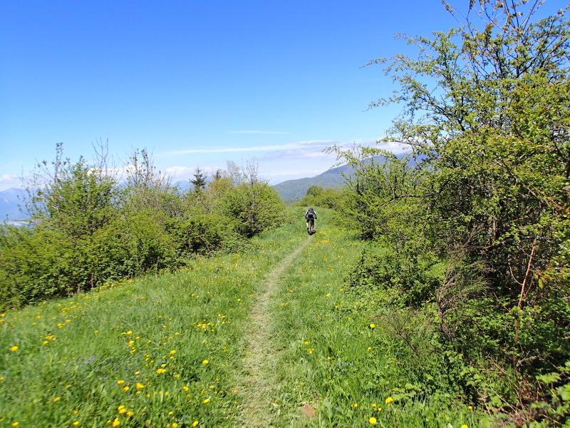 La partie nord de la crête est très verte et panoramique !