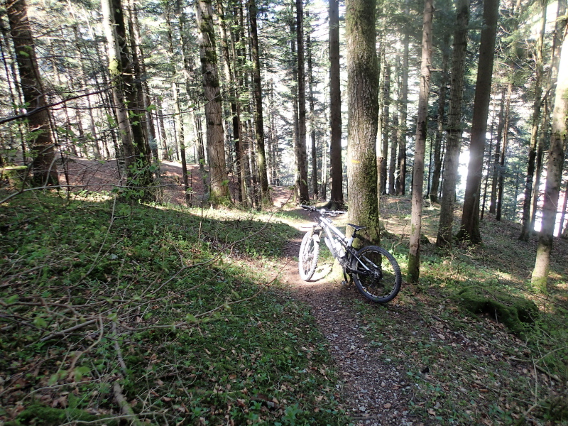 Passage sympa en forêt avant la plongée raide sur la route