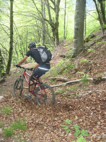 #3 Puy d Puy d'Oulles : Un petit single en sous-bois...Avec un bon tapis de feuilles, pas peur de la chute!