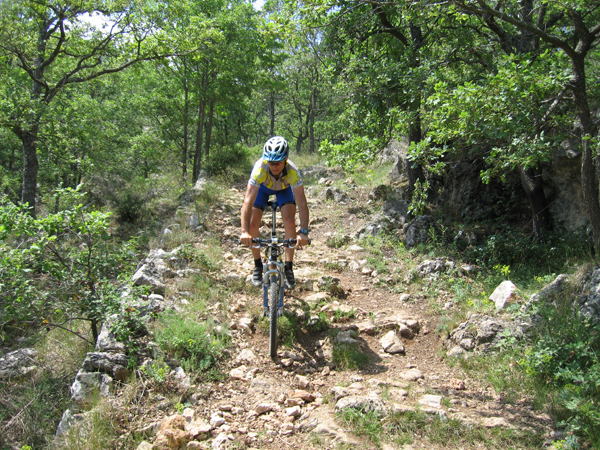 Descente type TransVé du Mt Chauve