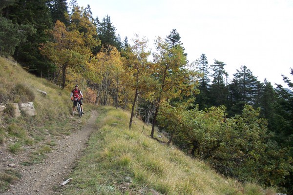 Couleurs d'automne : Que c'est beau l'automne