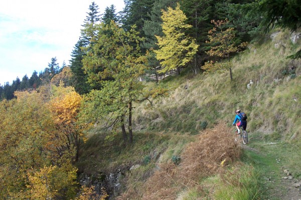 #4 Superbe sentier balcon : Entre la baisse de Patronnel et de Peïra-Cava, un sentier balcon très roulant nous régale ! Superbe sentier balcon : Entre la baisse de Patronnel et de Peïra-Cava, un sentier balcon très roulant nous régale !