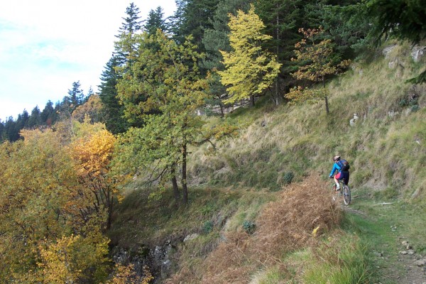 Superbe sentier balcon : Entre la baisse de Patronnel et de Peïra-Cava, un sentier balcon très roulant nous régale !