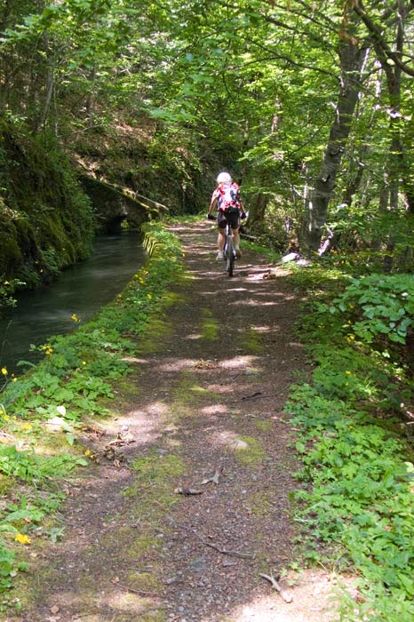 #1 Canal de Beaumont : Ambiance paisible Canal de Beaumont : Ambiance paisible