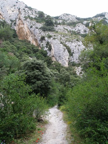 Vallon du Colombier : La descente s'achève!