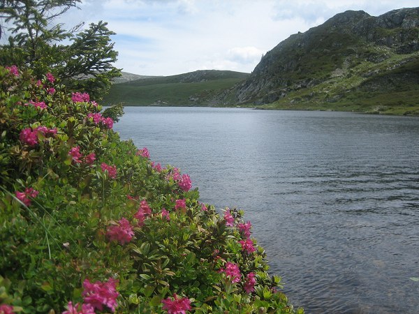 #3 Lac Fourchu : C Lac Fourchu : C'est beau !