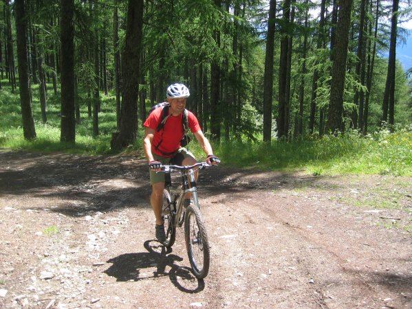 Bois du Mont Guillaume : Piste roulante et parfois raide en sous bois