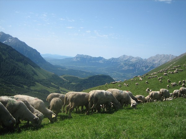 Le Dévoluy : Vu depuis le col des Vachers