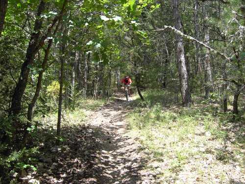 #13 Combe d Combe d'Ansis : Dans le sous bois ludique