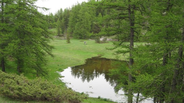 #4 Lac des Lauzes : Il ne se prête pas beaucoup à la baignade... Lac des Lauzes : Il ne se prête pas beaucoup à la baignade...