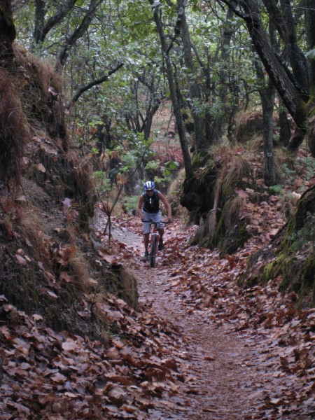 #3 Canyon : Pas jolie mom Vtt?????
Yes,la classe!Old School for ever! Canyon : Pas jolie mom Vtt?????
Yes,la classe!Old School for ever!