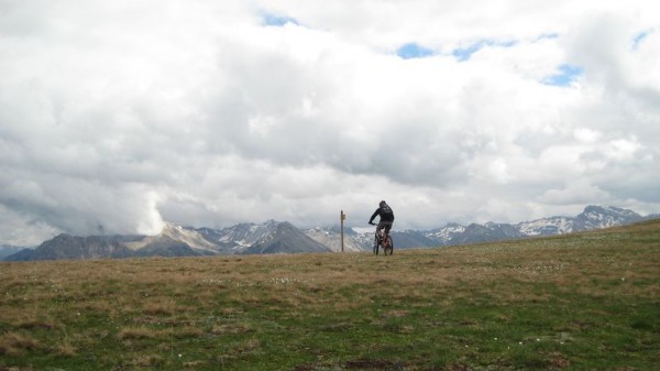 #8 Promenade ! : L Promenade ! : L'Ours gambade sur la plateau du col.