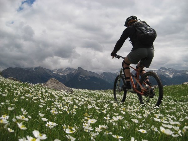 #12 Batifolage : N Batifolage : N'est-il pas mignon au milieu de toutes ces fleurs ?? ;-))