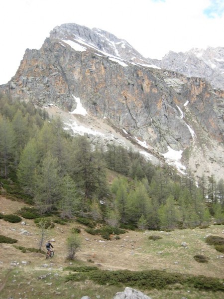 #10 Sauvage. : Ici, on voit que la neige est partie il y a peu. Sauvage. : Ici, on voit que la neige est partie il y a peu.