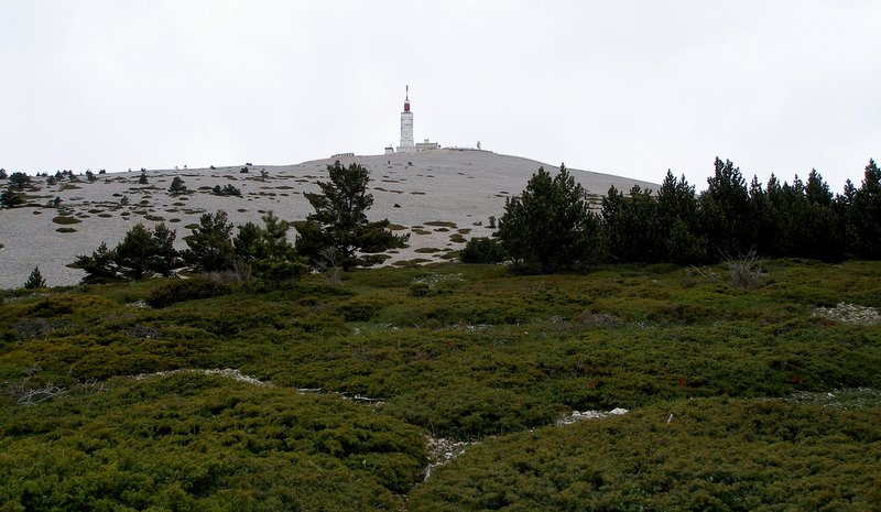 #5 Le Ventoux : Bientôt la forêt Le Ventoux : Bientôt la forêt