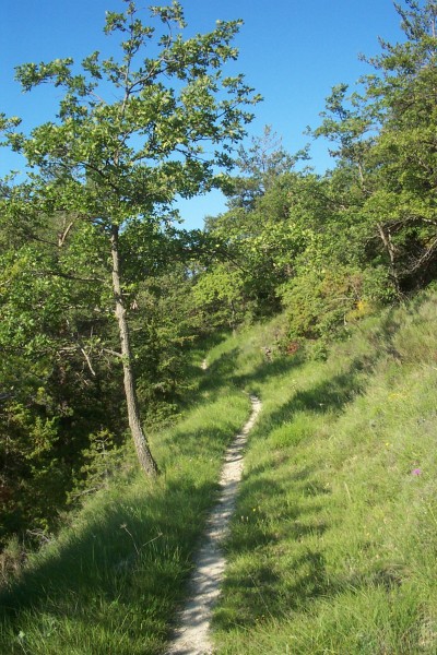 #5 Castel d Castel d'Ongrand : Le sentier qui rejoint le Castel d'Ongrand est de toute beauté ! Roulant et joueur ! Un pur régal !