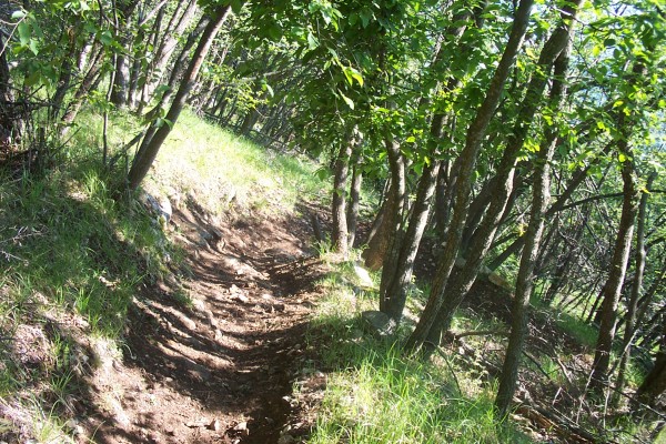 #3 Epingle : La descente de la baisse du Loup vers le col de Ségra est épinglue dans la première partie... Epingle : La descente de la baisse du Loup vers le col de Ségra est épinglue dans la première partie...