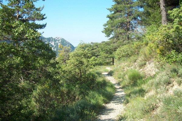#6 Castel d Castel d'Ongrand : Le top !