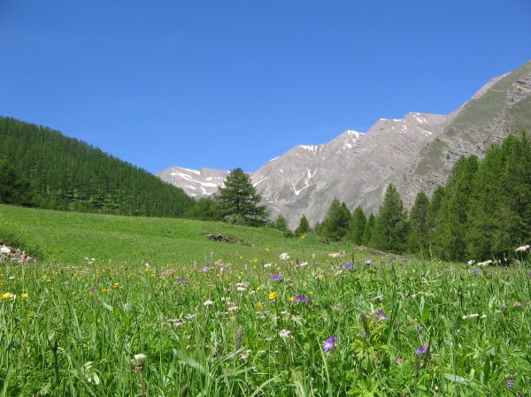 Montée vers le col de la Pare : L'été est là !