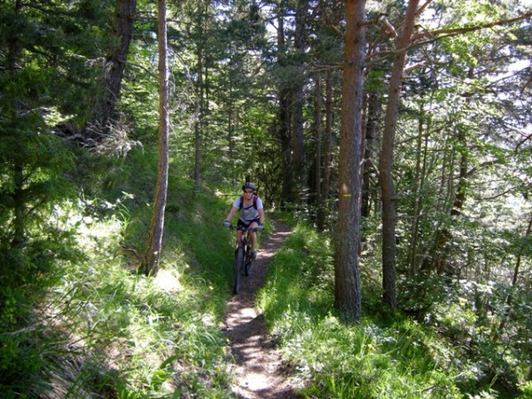 Chemin de ronde : Sentier très propre