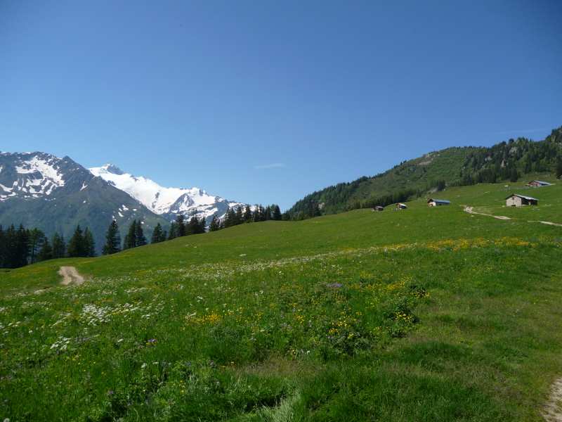 #1 L L'Arpille : L'Arpille et le glacier de Trient