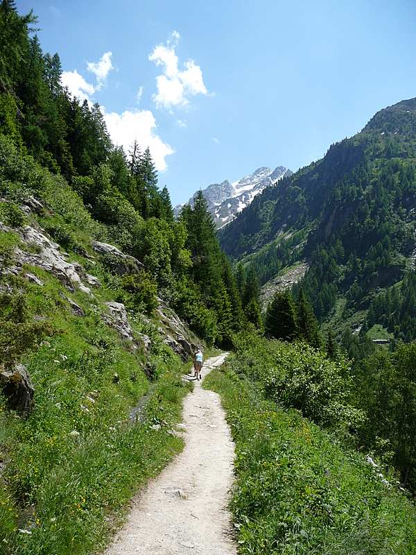 #5 Le bisse de Trient : Le bisse de Trient entre le glacier et la Forclaz Le bisse de Trient : Le bisse de Trient entre le glacier et la Forclaz