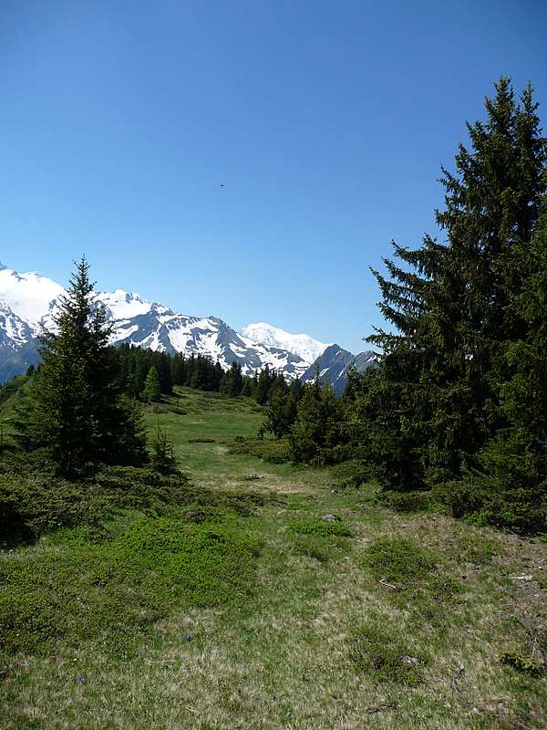 #2 Mt de l Mt de l'Arpille : Le Mt de l'Arpille et le Mt Blanc