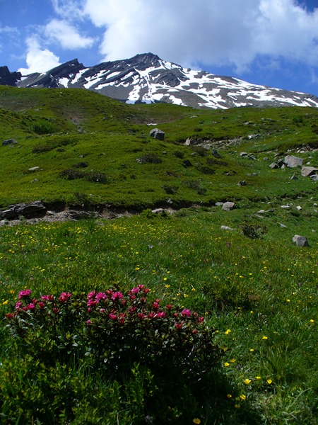 Piste Montée : La Grande Chible