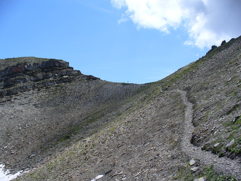 #3 Sentier Montée : Arrivée au collet Sentier Montée : Arrivée au collet