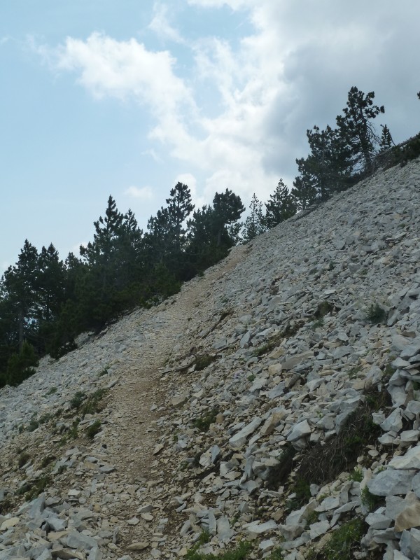 #16 du coté de Serres Gros du coté de Serres Gros