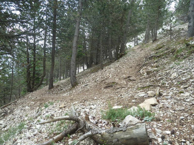 #17 du coté de Serres Gros : c du coté de Serres Gros : c'est tout bon