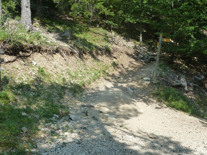 #6 départ du GR4 : pour monter au sommet , pas de balise on peut y aller ! départ du GR4 : pour monter au sommet , pas de balise on peut y aller !