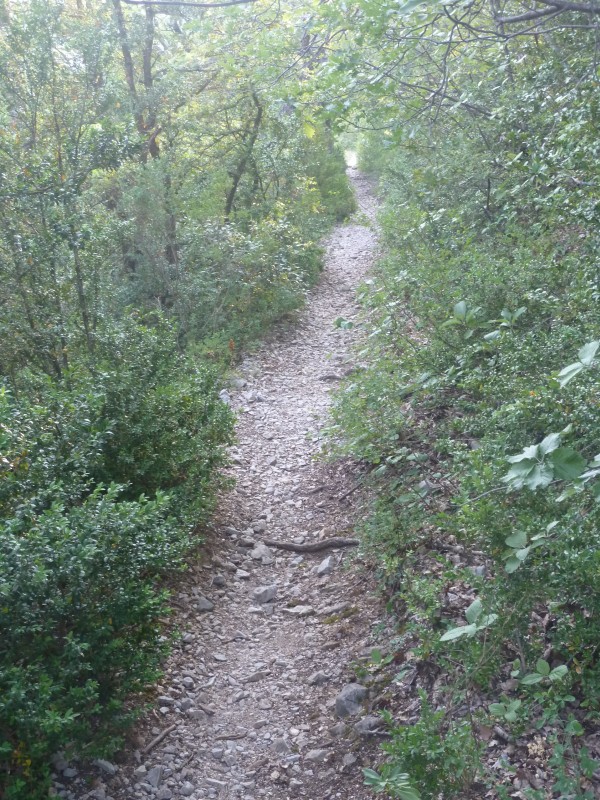 #1 montée au col du Comte : au frais montée au col du Comte : au frais